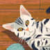 User profile avatar