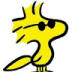 User profile avatar