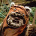 User profile avatar