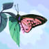 User profile avatar