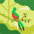 User profile avatar