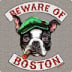 User profile avatar