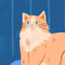 User profile avatar