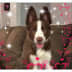 User profile avatar