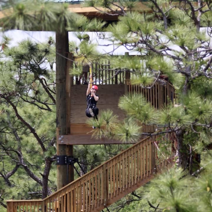 Gatorland Orlando: Screamin' Gator Zip Line