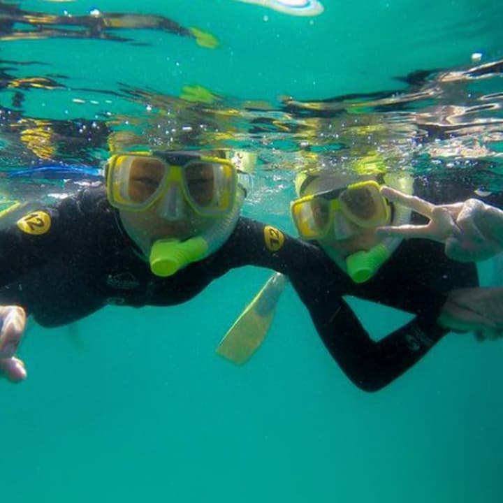Guided Snorkel Experience for Beginners at Goat Island