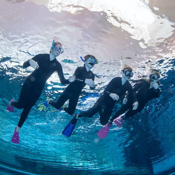 Snorkeling at Deep Dive Dubai