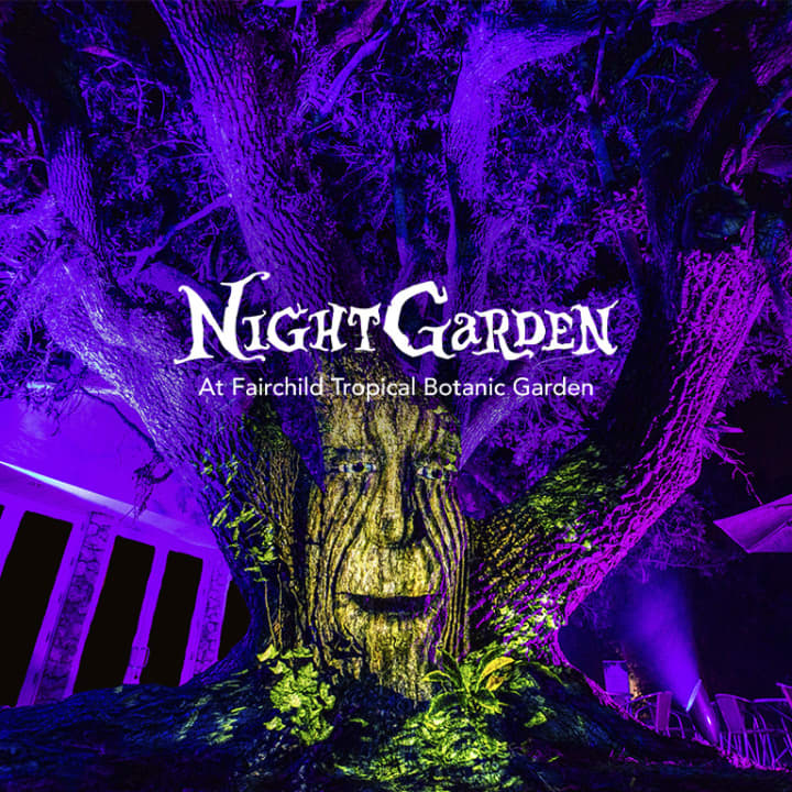 NightGarden Miami: A Magical Light Experience - Tickets