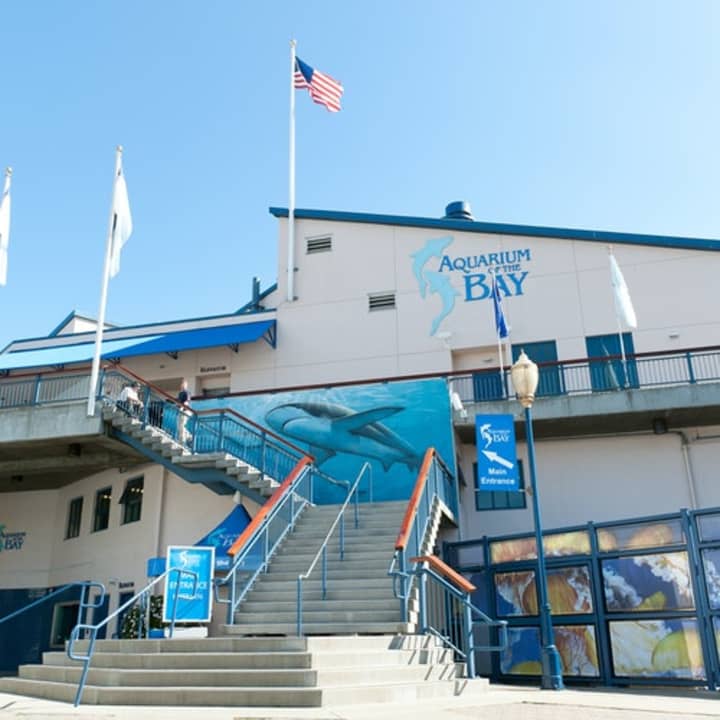 Aquarium of the Bay