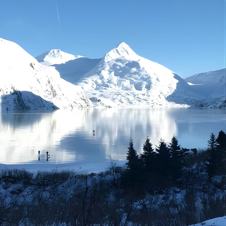 Winter - Wildlife & Turnagain Arm Tour