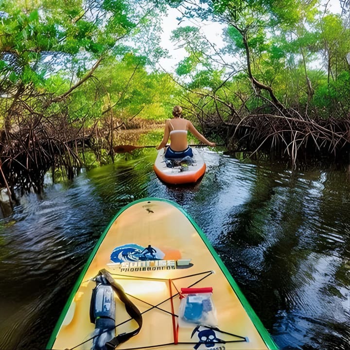 Fort Lauderdale Bonnet House Ground and Guided Paddle Board Kayak