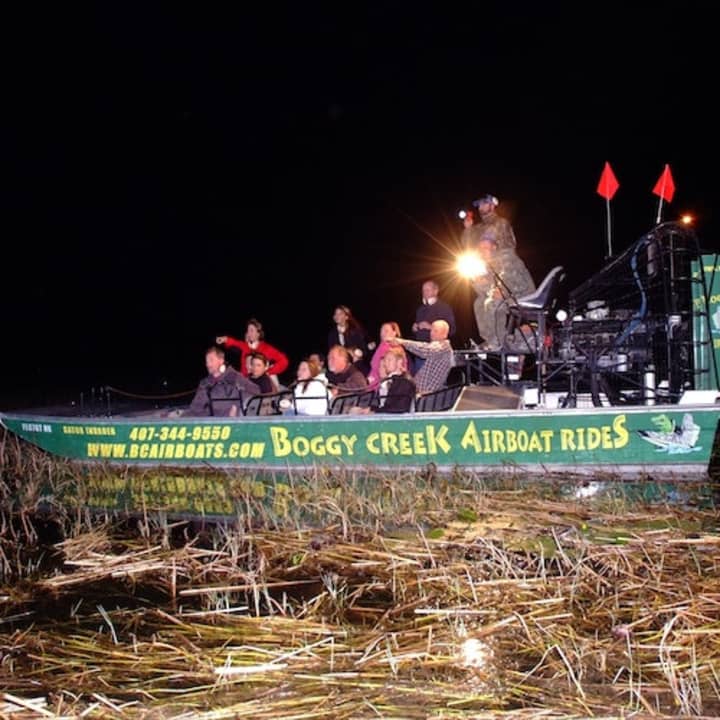 ﻿Everglades de Noche: excursión de 1 hora en hidrodeslizador por Boggy Creek