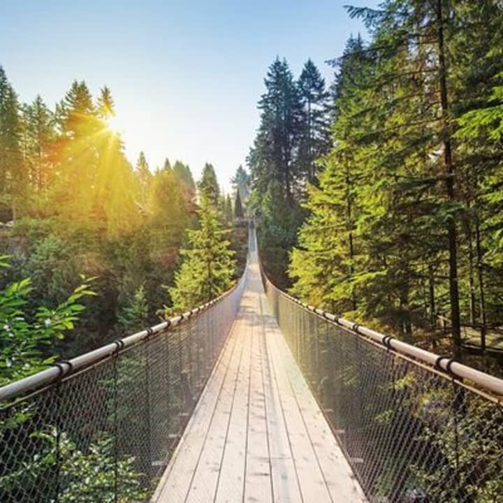 Seaplane Tour with Admission to Capilano Suspension Bridge Park