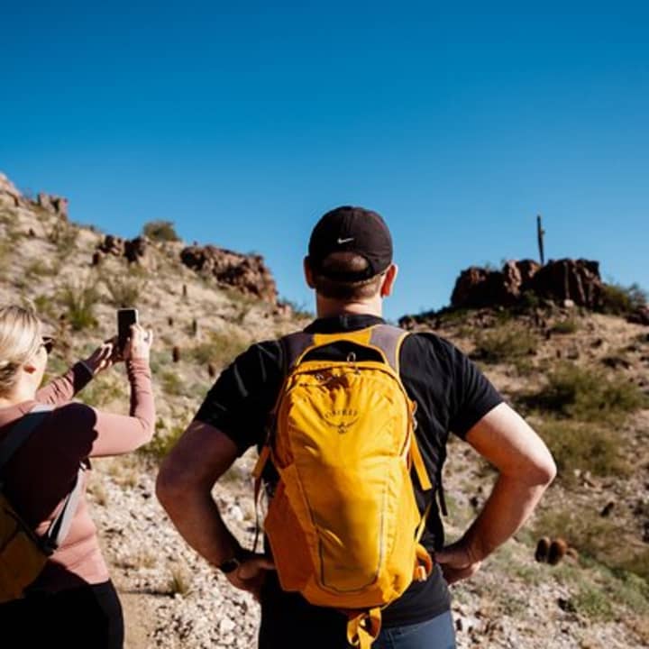 1.5 hr hike FAMILIES groups -Private, educational Sonoran Desert