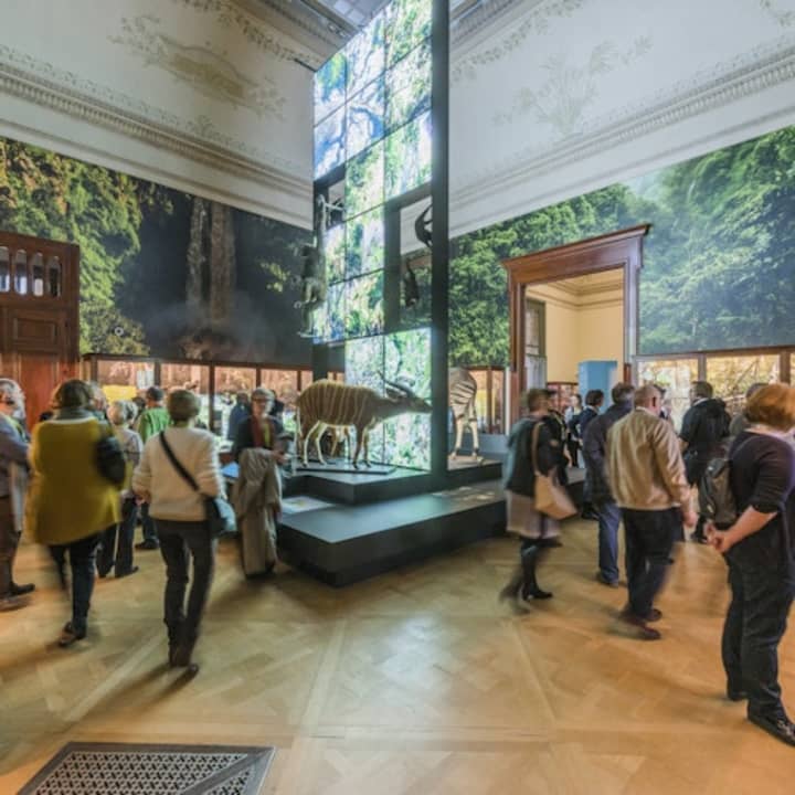 AfrikaMuseum Tervuren: Toegangsticket