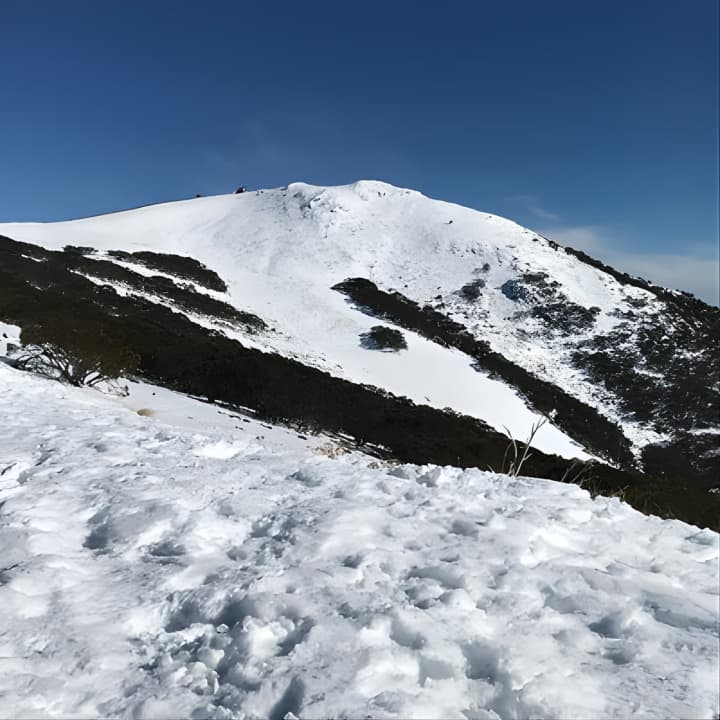 ﻿Mount Buller Snow Day Boutique Trip - Max 11 People