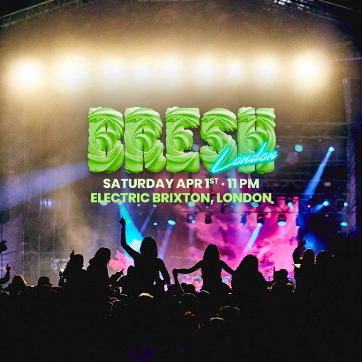 BRESH: The Most Beautiful Party in the World
