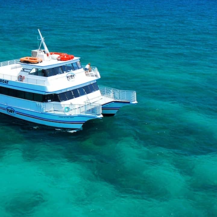 ﻿From Miami: Excursión en barco con fondo de cristal por Cayo Hueso