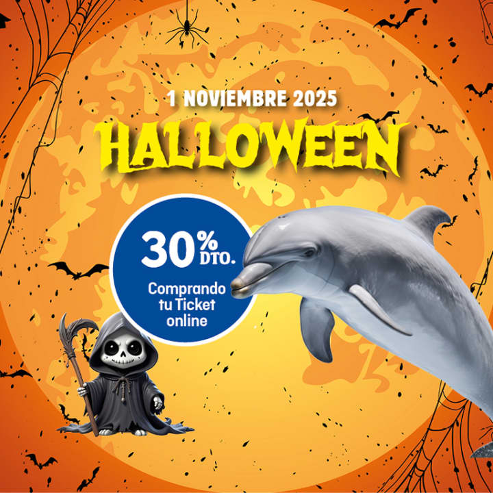 Halloween Special Promotion 30%