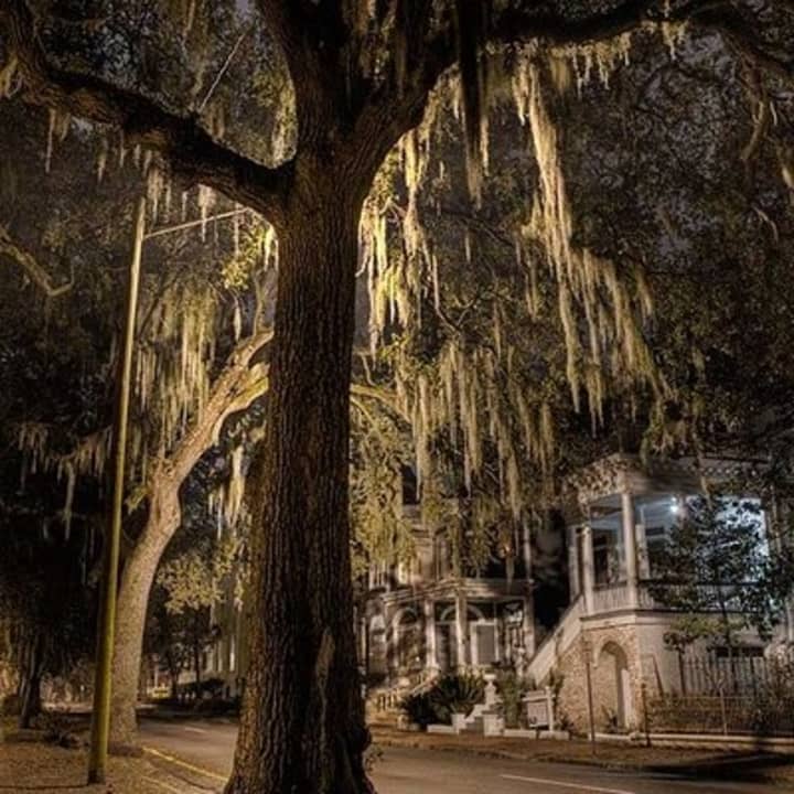 Late Night Savannah Haunted Pub Crawl