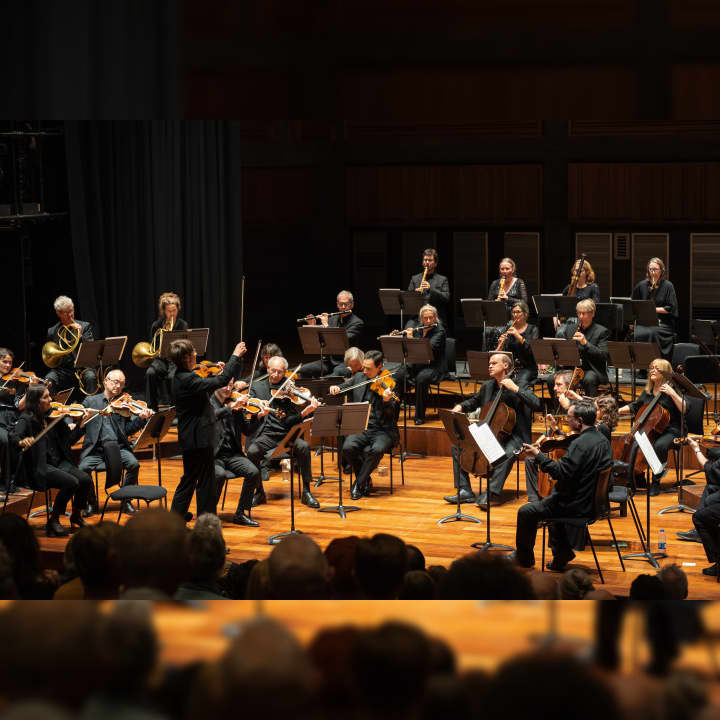 The Full Bach Brandenburg Concertos