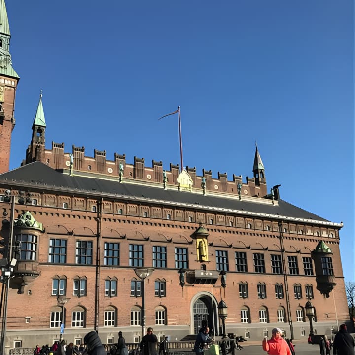  3h Private walking tour, Copenhagen