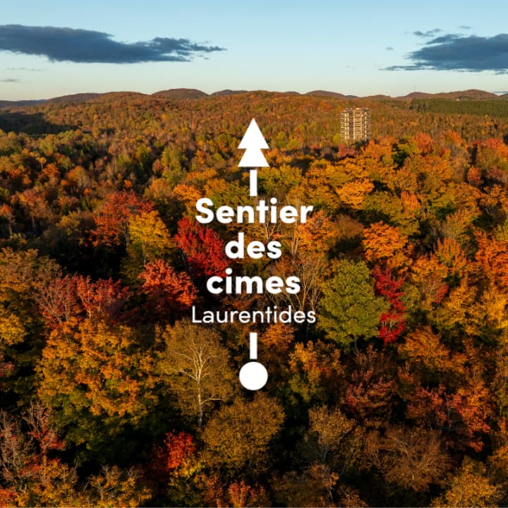 Sentier des cimes Laurentides - Day tickets