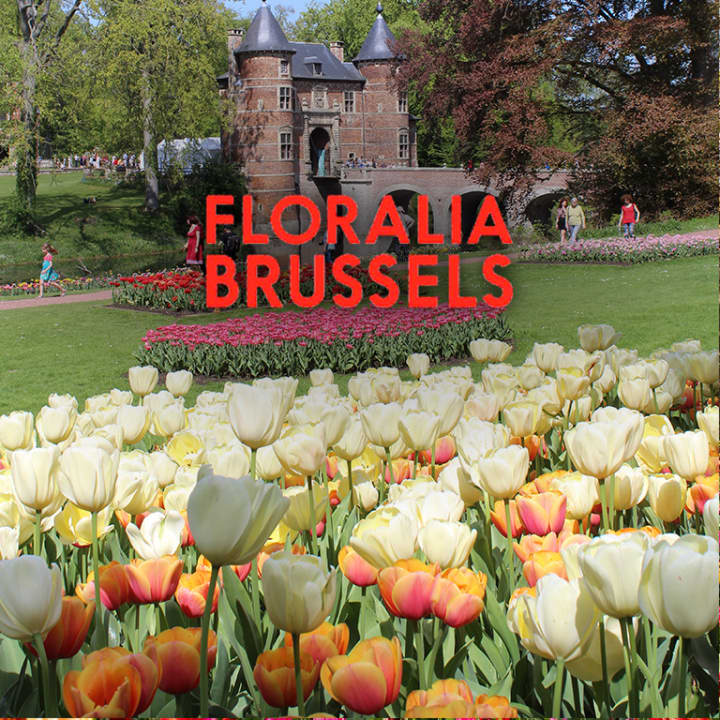 Floralia Brussels, de 21e editie van de lente-bloemententoonstelling