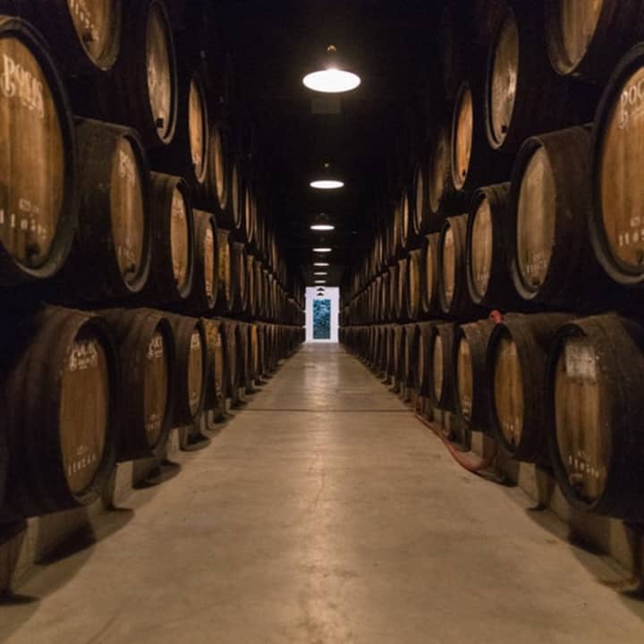 Caves Poças: visita guiada com prova de vinhos