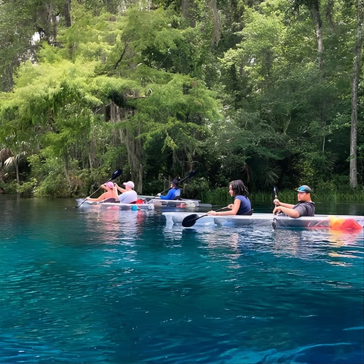 Paseos en kayak con fondo de cristal por Silver Springs