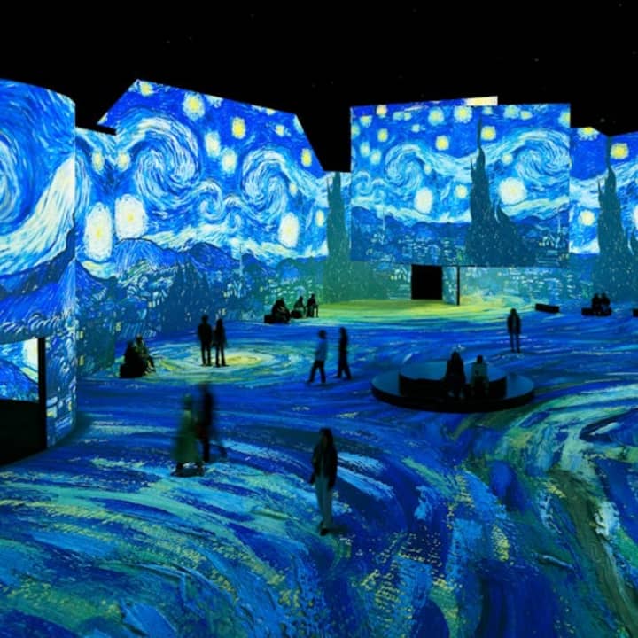 THE LUME Melbourne: Van Gogh Exhibition Entry