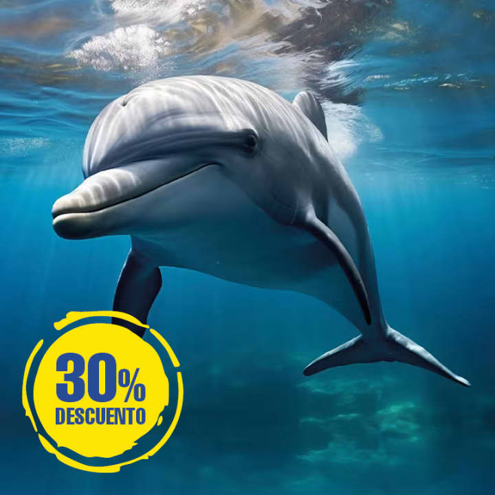 OFERTA FLASH - 30% Descuento en Flexitickets