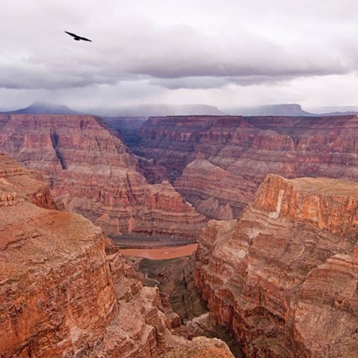 ﻿Excursión en helicóptero al atardecer de la Gran Celebración