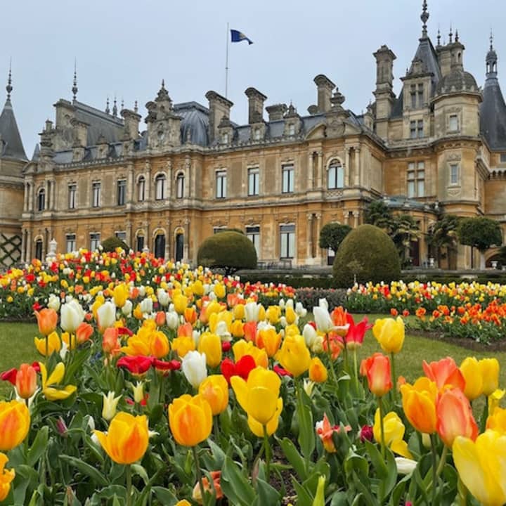 Grounds at Waddesdon Manor