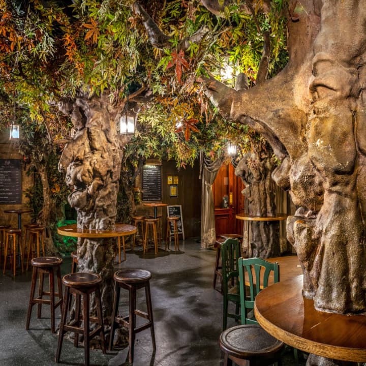 Tarot + 2x1 en Bulldog gin-tonic en Bosc de les Fades