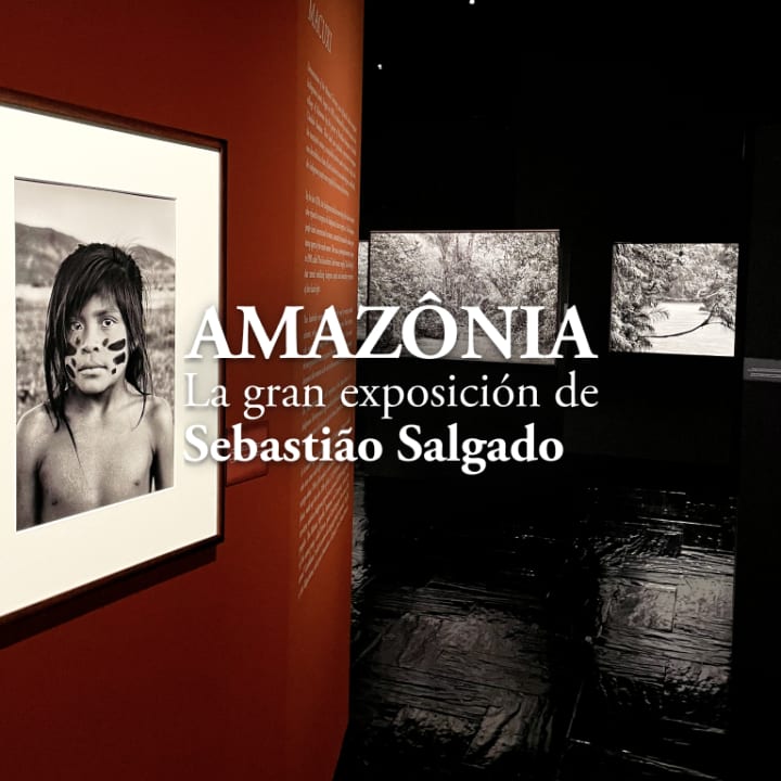 AMAZÔNIA, a Major Exhibition by Sebastião Salgado