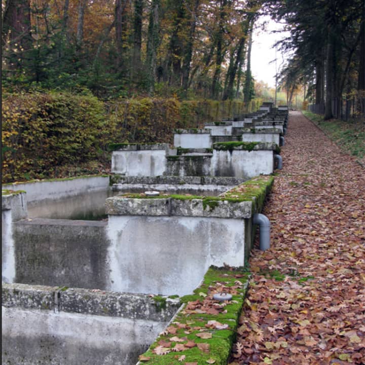 Visita Guiada a la Piscifactoría en la Granja de San Ildefonso