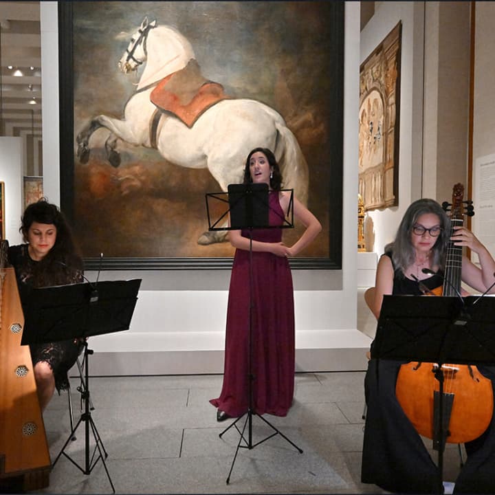 Nuits magiques à la Galerie