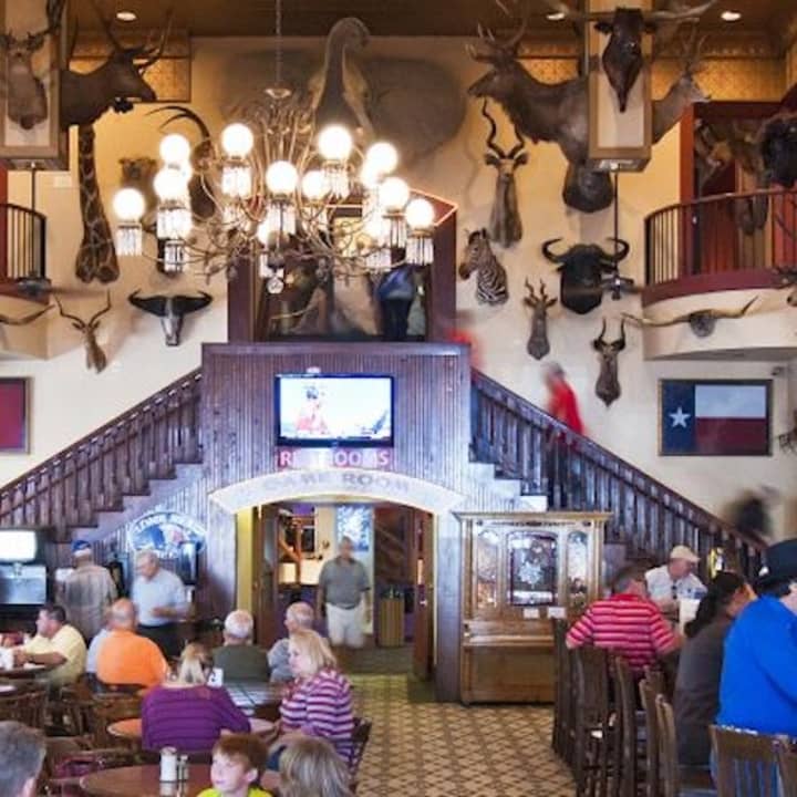 Buckhorn Saloon and Texas Ranger Museum & Hop-on Hop-off Bus San Antonio
