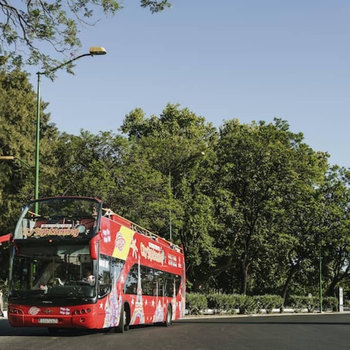 Bus turístico de Benalmádena