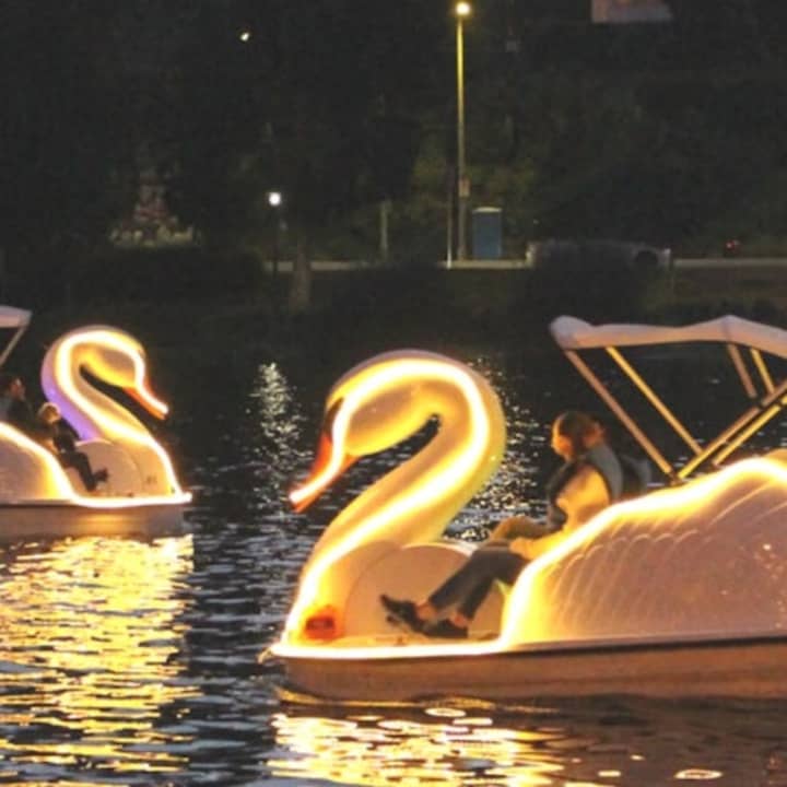 Los Angeles: Swan Boats Rental