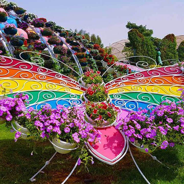 حديقة الفراشات في دبي: تخطي الخط