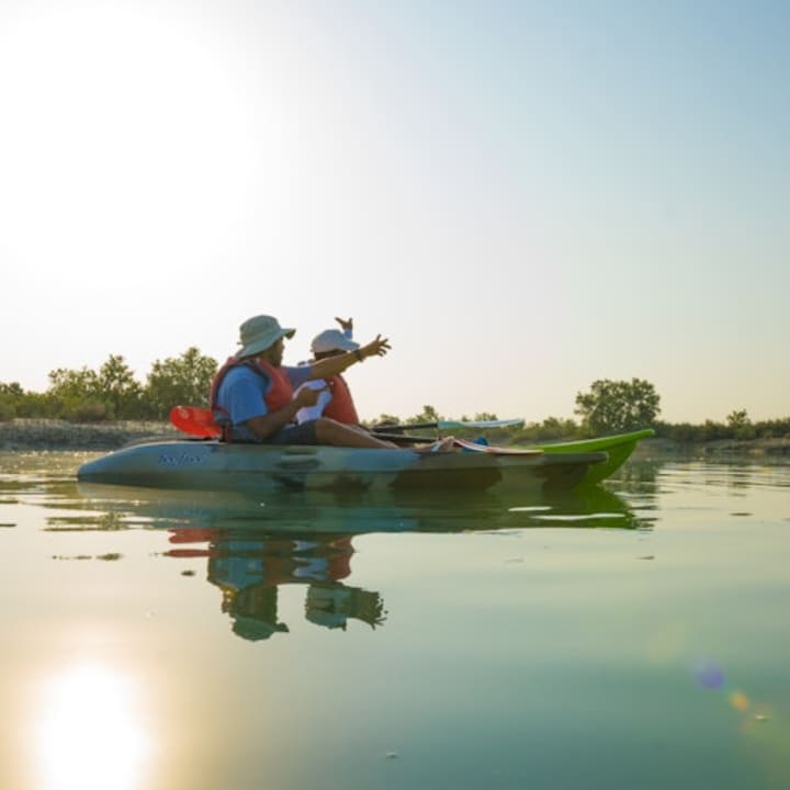 Guided Kayak Tour in the Mangroves