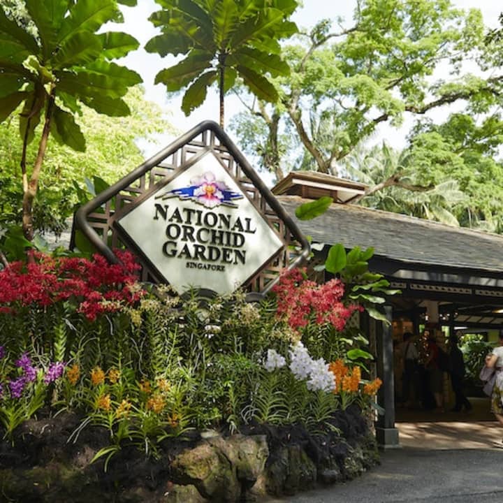 Singapore National Orchid Garden Tickets