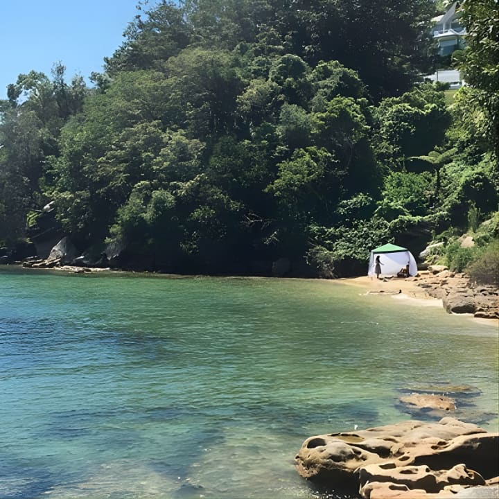 Our Best Hidden Harbour Beaches Tour