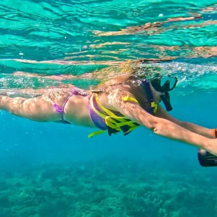 Jet Snorkel Tour in West Palm Beach