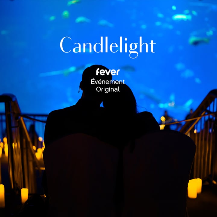 Candlelight : Hommage à Hans Zimmer à l'Aquarium La Rochelle