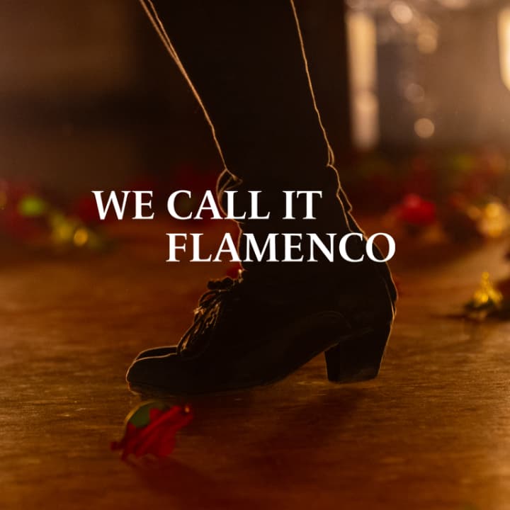We Call It Flamenco: uno spettacolo unico di danza spagnola