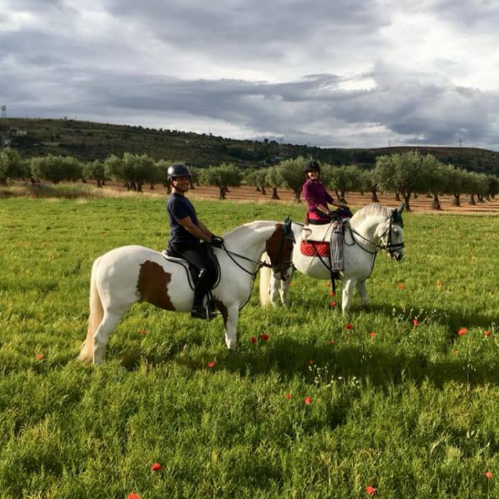 ﻿Horseback riding with lunch and lodging for 2 people