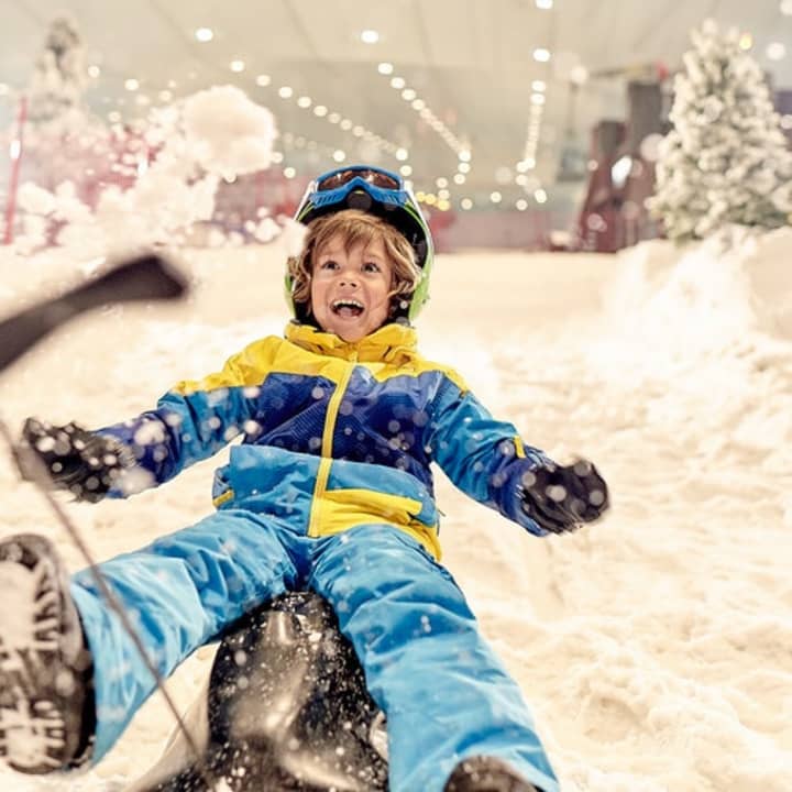 Ski Dubai: Snow Park